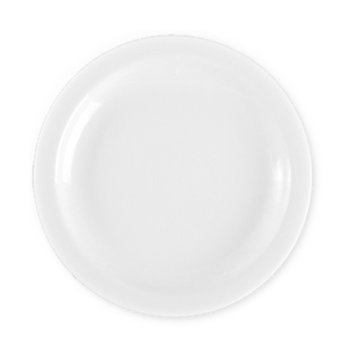 Fortis’ narrow rimmed plate 250mm.