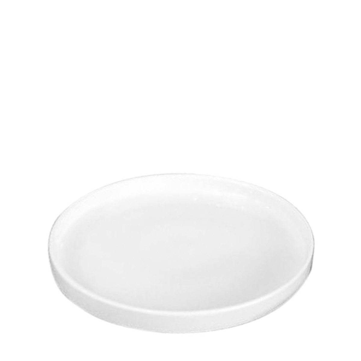 STUDIO PLATE 280MM WHITE By Fortis