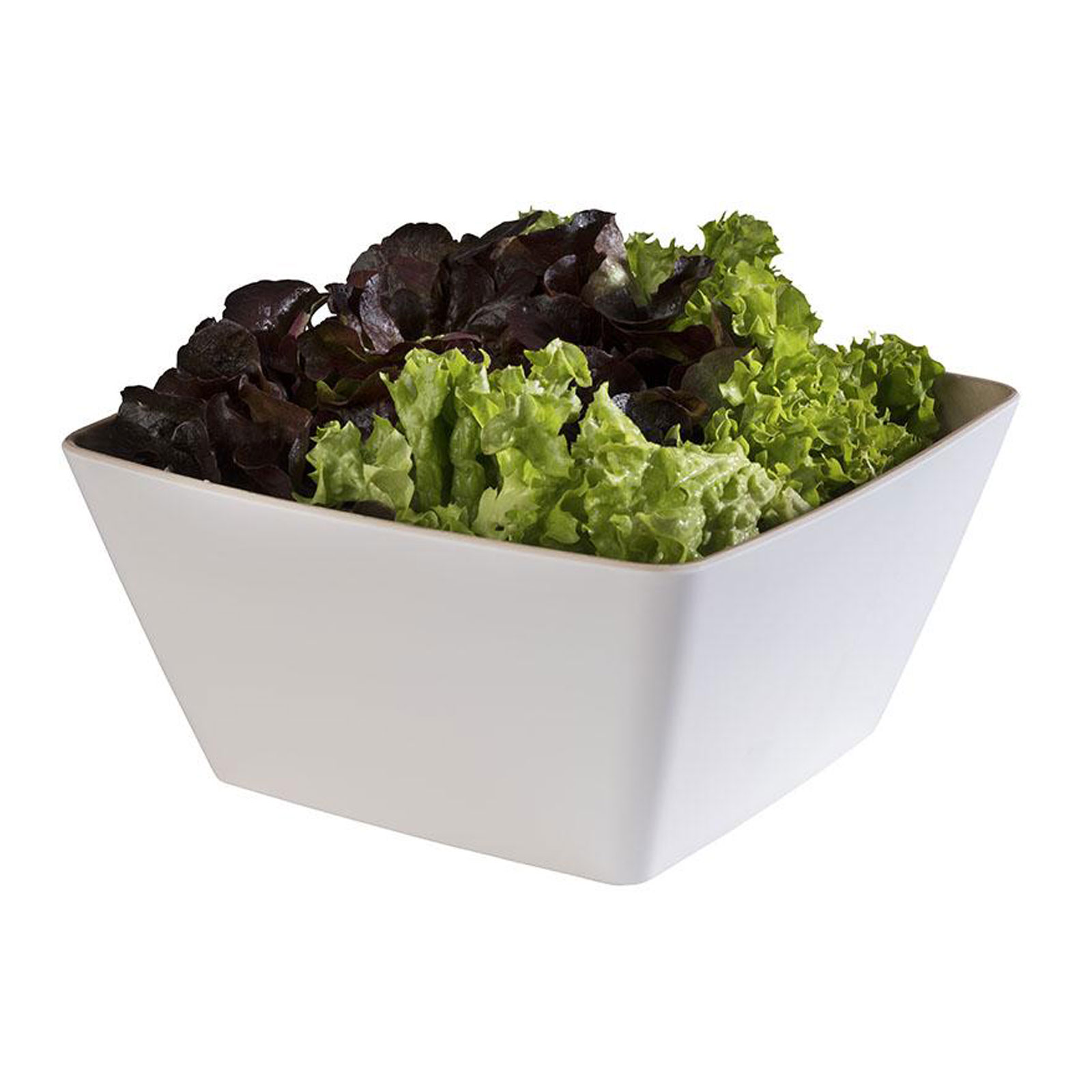 A white Frida bowl by APS.