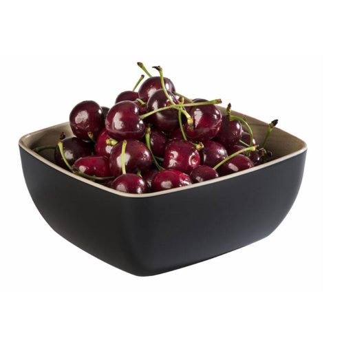 FRIDA GN 1/6 BOWL BLACK By APS
