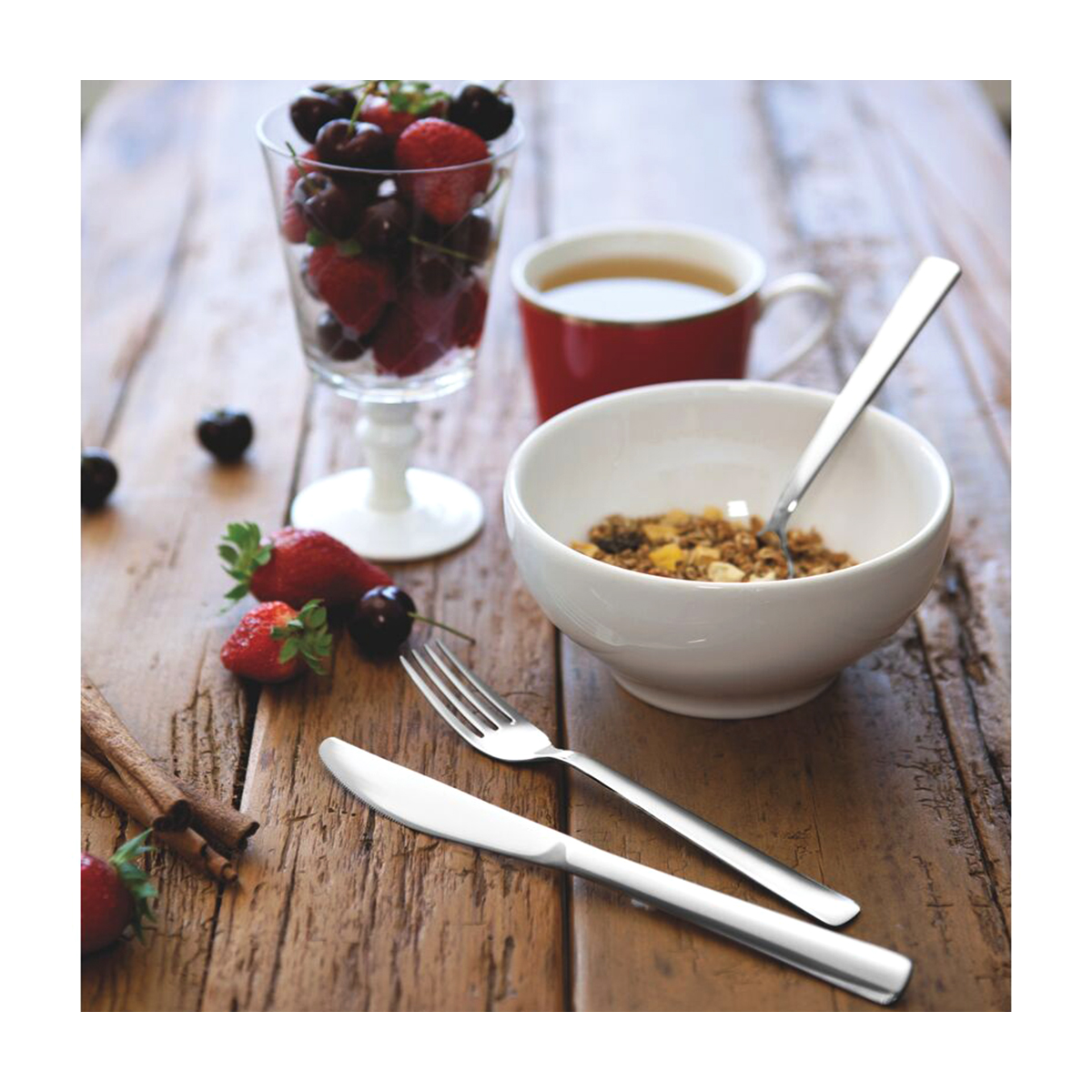 OSLO MIRROR FINISH S/STEEL CUTLERY SET 24 PIECE By Tramontina