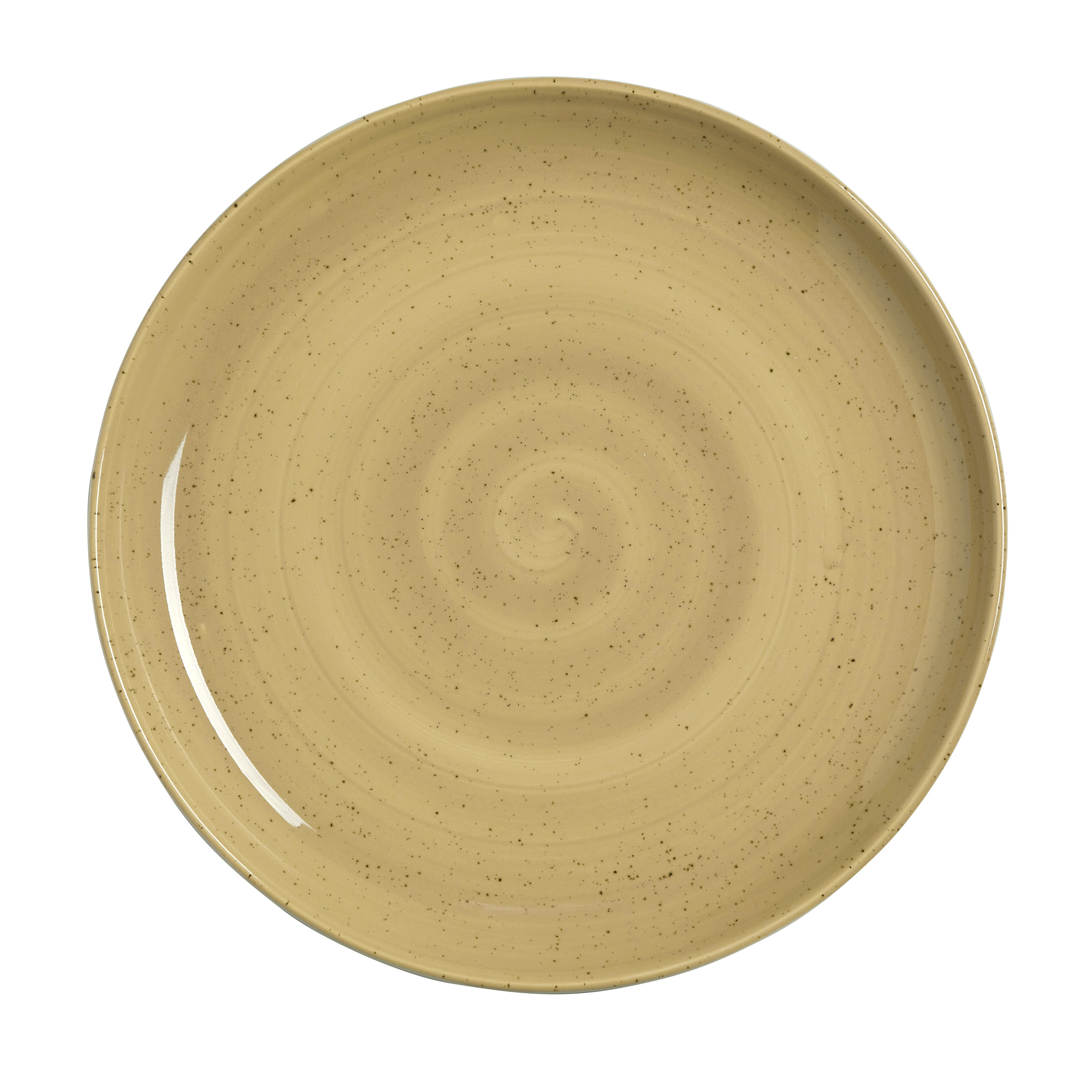 250MM NORDIC COUPE PLATE  AMARI DIJON   By Steelite