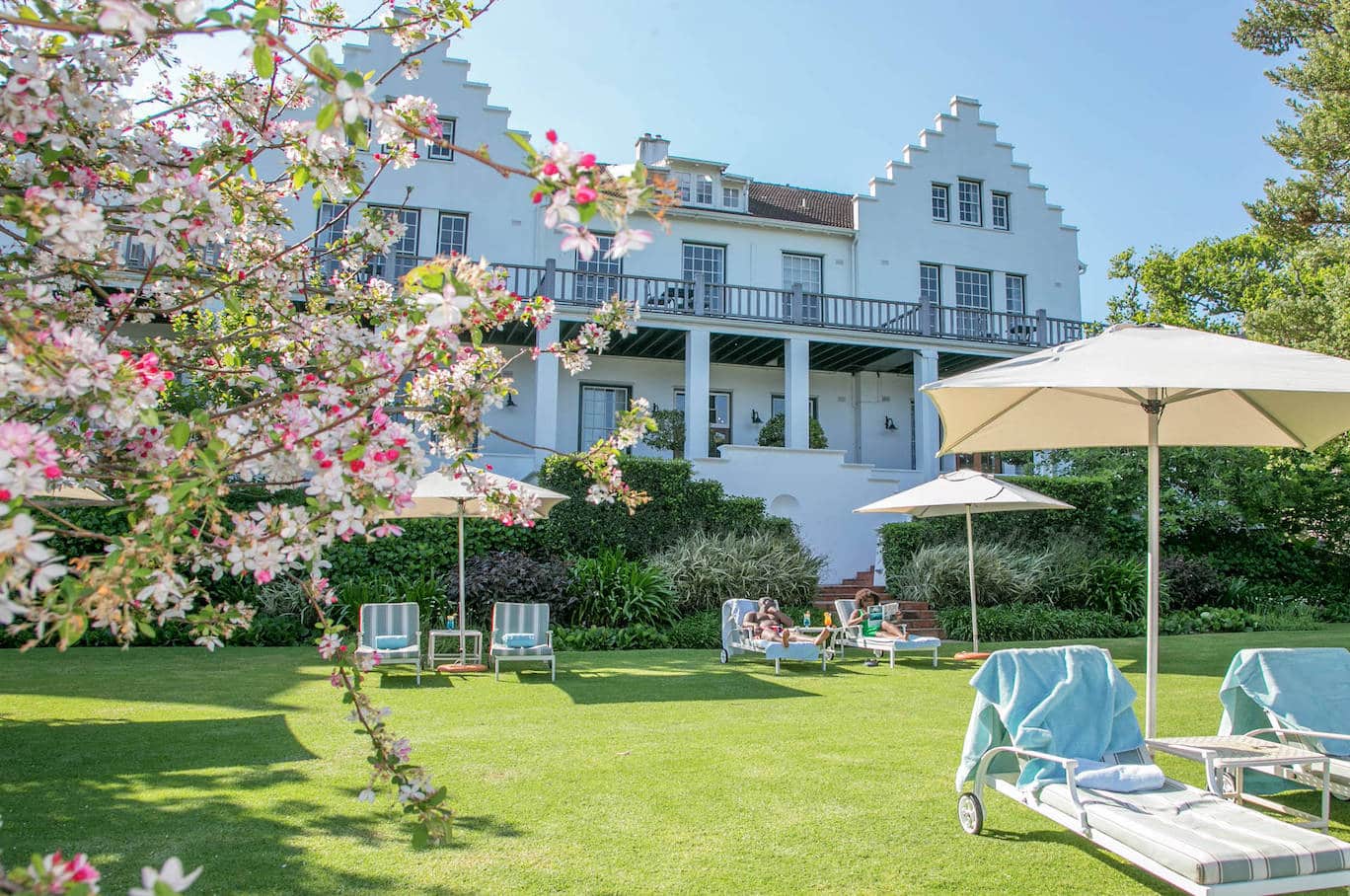 FEATURED CLIENT: CELLARS HOHENORT