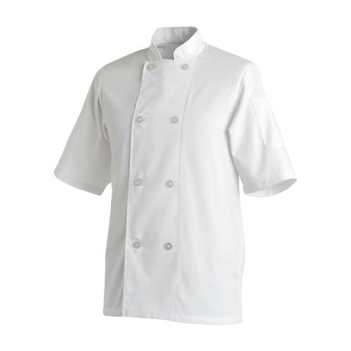 BASIC CHEF JACKET SHORT SLEEVE   WHITE