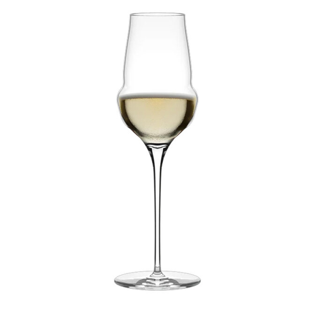 340ML CHAMPAGNE GLASS   COCOON  By Stölzle Lausitz