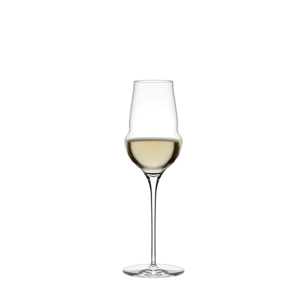 340ML CHAMPAGNE GLASS COCOON By Stölzle Lausitz